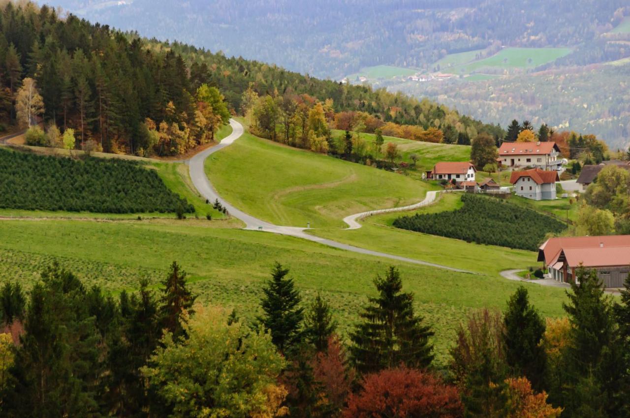 Ferienhaus Mooshoef Pöllauberg 外观 照片